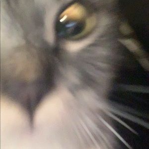 Meet your Posher, Jazmyn